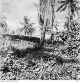 HANSA BAY, NEW GUINEA. 1944-07-10. A WRECKED JAPANESE TWIN ENGINE BOMBER OF THE TYPE KNOWN AS "LILY" BY ALLIED AIR FORCE PERSONNEL. THE BOMBER AT THE NORTH HANSA STRIP IS WITHIN THE 5TH DIVISION ..