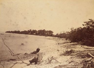 Beach Suwarrow. From the album: Views in the Pacific Islands