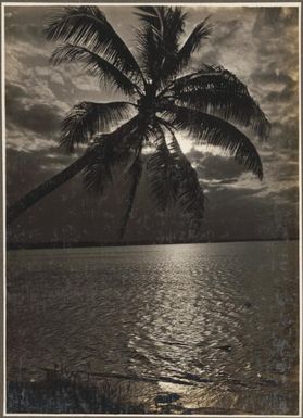 [Sun shining on the water with palm tree in the foreground, Papua New Guinea, 2]