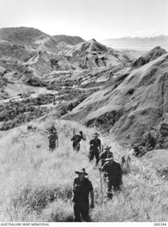 RAMU VALLEY, NEW GUINEA. 1943-11-05. TROOPS OF B COMPANY, 2/27TH AUSTRALIAN INFANTRY BATTALION WALKING ALONG THE RIDGE AT GUY'S POST, OVERLOOKING THE PARIA RIVER