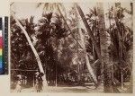 View of girls carrying water pots in village, Kabadi district, Papua New Guinea, ca. 1890