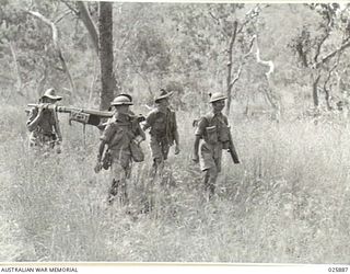 PORT MORESBY, PAPUA. 1942-07-11. AN AMBULANCE DETACHMENT KEEPS UP WITH THE INFANTRY DURING MANOEUVRES CARRIED OUT BY AUSTRALIAN FORCES IN DENSE TROPICAL BUSH UNDER THE DIRECTION OF AN A.I.F. ..