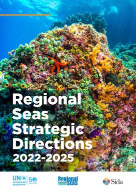 Regional Seas Strategic Directions (RSSD) 2022-2025