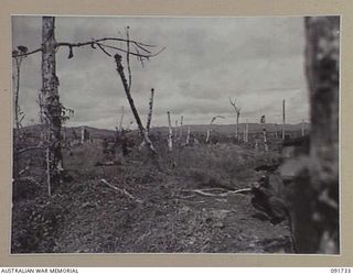 WEWAK AREA, NEW GUINEA, 1945-05-10. TROOPS OF 2/4 INFANTRY BATTALION ADVANCING AGAINST ENTRENCHED JAPANESE PILLBOXES, TUNNELS AND CAVES. THEY ARE SUPPORTED BY THE FIRE POWER FROM 2/4 ARMOURED ..