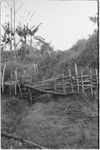 Tsembaga: path and garden fences