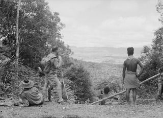 PAPUA, NEW GUINEA. 1942-08. A VIEW OF THE ACTUAL COUNTRY THROUGH WHICH OUR TROOPS ARE PASSING TO MEET THE JAPANESE IN THE KOKODA AREA