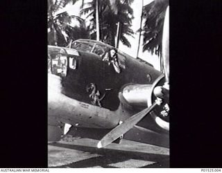 GOODENOUGH ISLAND, NEW GUINEA. C. 1943. A DAP BRISTOL BEAUFORT MK VIII AIRCRAFT OF NO. 100 SQUADRON, RAAF. THE SMILING CREWMAN LEANING OUT THE COCKPIT WINDOW IS UNKNOWN. (DONOR S. PHILLIPS)