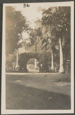 Vine covered archway in the Botanical Gardens, Rabaul, New Britain Island, Papua New Guinea, approximately 1916