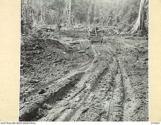 ZENAG, NEW GUINEA, 1944-02-27. A BULLDOZER WORKING ON AN EXPERIMENTAL ROAD USING A CLAY SEAL OVER SWAMPY BLACK MUD SECTIONS. THE TREES IN THIS HEAVILY TIMERED AREA HAVE BEEN CLEARED WELL BACK FROM ..