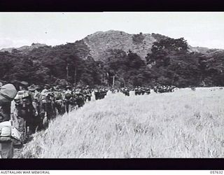 RAMU VALLEY, NEW GUINEA, 1943-09-28. TROOPS OF THE 7TH AUSTRALIAN DIVISION MOVING IN SINGLE FILE THROUGH THICK KUNAI GRASS IN THE MARKHAM VALLEY