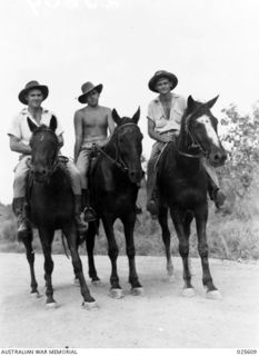 PORT MORESBY, PAPUA. 1942-07. EXPERT HORSEMEN DURING PEACETIME, THESE QUEENSLANDERS ARE NOW SERVING WITH THE AUSTRALIAN INDEPENDENT LIGHT HORSE TROOP IN NEW GUINEA, LEFT TO RIGHT:- CLINTON ..