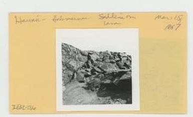 [Sadleria in Hawaii, envelope IE32-236]