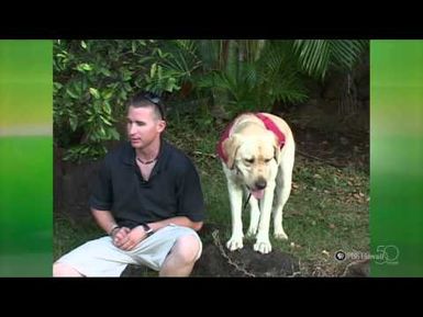 PBS Hawaii - HIKI NŌ Episode 208 | Waialua High & Intermediate School | Wounded Warriors