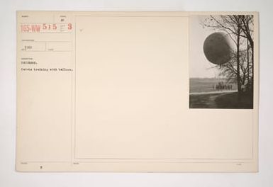Training Camps and Schools - Aviation - Ford Island, Hawaii [165-WW-515E-3]