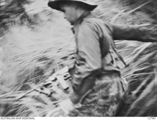 TIMBERED KNOLL, NORTH OF ORODUBI, NEW GUINEA, 1943-07-29. PRIVATE W.H. DAWSON, VX50665, 2/3RD INDEPENDENT COMPANY, IN THE PROCESS OF ATTACKING JAPANESE PILLBOXES WHICH WERE HOLDING UP THE ..