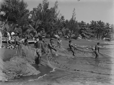 [Pacific Island people fishing with net on beach]