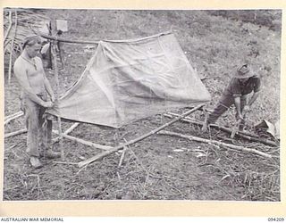 MOLONEY'S RIDGE, WEWAK, NEW GUINEA. 1945-07-13. PRIVATE P. FLOOD (1), AND CORPORAL L. PEUT (2), MEMBERS OF A COMPANY, 2/5 INFANTRY BATTALION, SETTING UP THEIR TEND AND QUARTERS AFTER CONSOLIDATING ..