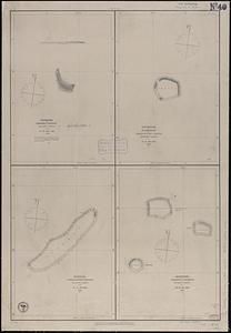 Makatea or Aurora Island, Paumotu Group ; Taweree or St. Simeon or Resolution Island, Paumotu Group ; Takurea or Wolconsky Island, Paumotu Group ; Raeffski or Seagull Islands, Paumotu Group