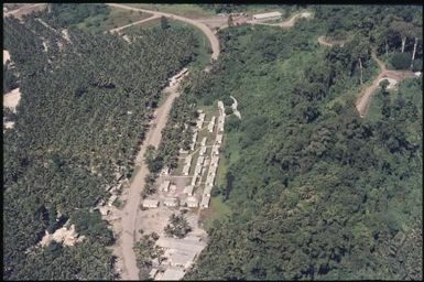 Remnant coconut plantation : Helicopter flight, Bougainville Island, Papua New Guinea, 1971 / Terence and Margaret Spencer