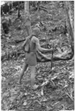 Man planting taro