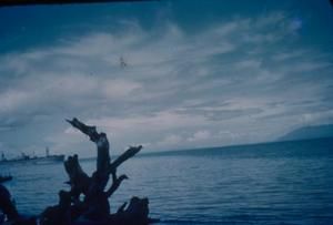 [Milne Bay In New Guinea]