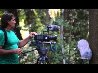 PBS Hawaii - HIKI NŌ Episode 606 | Maui High School | Maui Film Industry