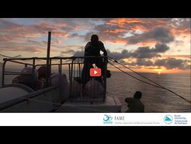 A historical SPC tuna tagging cruise