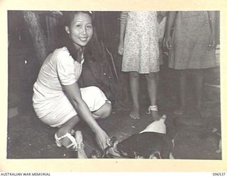 RABAUL AREA, NEW BRITAIN. 1945-09-13. CHINESE CIVILIANS, INTERNED BY THE JAPANESE AT A CAMP 15 MILES WEST OF RABAUL, WERE CONTACTED BY A PARTY OF AUSTRALIAN ARMY AND RED CROSS OFFICIALS SOON AFTER ..
