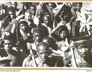ULUGUDU, NEW GUINEA, 1943-10-23. NATIVE VILLAGERS GREETING THE AUSTRALIAN AND NEW GUINEA ADMINISTRATIVE UNIT PARTY WITH GIFTS OF FRUIT AND VEGETABLES