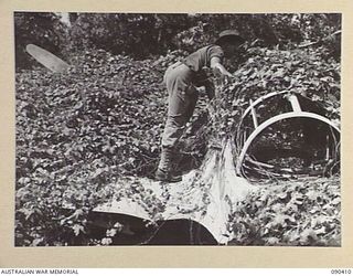BUT, NEW GUINEA. 1945-04-02. A "LILY" JAPANESE BOMBER, OVERGROWN BY TROPICAL VEGETATION, BESIDE THE AIRSTRIP. ONE OF DOZENS DESTROYED ON THE GROUND, IT IS BEING EXAMINED BY PRIVATE A. WILKIE, 6 ..