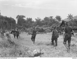 BABIANG, NEW GUINEA. 1944-11-08. THE PATROL FROM A TROOP, AUSTRALIAN NEW GUINEA ADMINISTRATIVE UNIT ATTACHED 2/10 COMMANDO SQUADRON PASS AN ABANDONED VILLAGE ALONGSIDE AN OLD GERMAN TRACK DURING ..