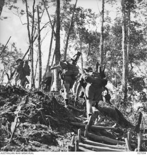 PAPUA, NEW GUINEA. 1942-10. MEMBERS OF THE 2/1ST, 2/2ND AND 2/3RD AUSTRALIAN INFANTRY BATTALIONS COMPRISING THE 16TH AUSTRALIAN INFANTRY BRIGADE MOVING UP ALONG THE TRACK ACROSS THE OWEN STANLEY ..