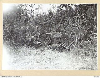 TOROKINA AREA, BOUGAINVILLE. 1945-08-12. A BUNKER AT WHICH SHELLS, WITH FUSES SET AT .05 DELAY, WILL BE FIRED FROM AN M24 GENERAL CHAFFEE LIGHT TANK DURING TRIALS CONDUCTED FOR THE WAR OFFICE
