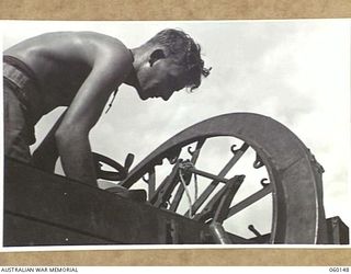 WARD'S DROME, NEW GUINEA. 1943-11-16. NX21329 GUNNER A. GOUGH OF THE 2/5TH AUSTRALIAN FIELD REGIMENT, 7TH AUSTRALIAN DIVISION, PREPARING TO STOW THE PARTS OF A LONG 25-POUNDER GUN INTO AN AIRCRAFT ..