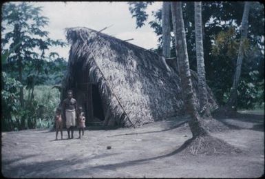 Houses (9) : Maprik, Papua New Guinea,1959 / Terence and Margaret Spencer