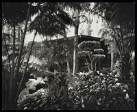 Job 4859: Russell Oda, Oda House (Hilo, Hawaii), 1972