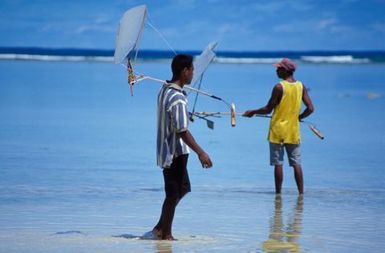 Canoes models