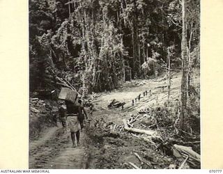 WAMPIT, NEW GUINEA. 1944-03-02. A NARROW JEEP ROAD AROUND THE SIDE OF A HILL ABOUT 71 MILES FROM WAU ON THE WAU - LAE SECTION. THIS PICTURE INDICATES HOW TIMBER HAS BEEN CLEARED TO ENABLE THE ROAD ..