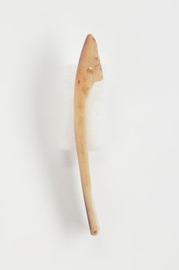 Rabatan te kaneati