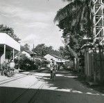 One of the main streets of Vaitepaua, atoll of Makatea