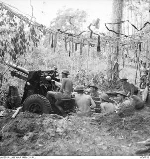 PAPUA. 1942-09. A GUN CREW OF THE 14TH FIELD REGIMENT (MILITIA), ROYAL AUSTRALIAN ARTILLERY, WITH THEIR 25-POUNDER GUN IN ACTION POSITION IN THE OWEN STANLEY RANGE. IDENTIFIED ARE, FROM LEFT TO ..