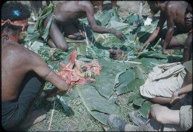 The pig is in the hole, surrounded by banana leaves : Wahgi Valley, Papua New Guinea, 1954 and 1955 / Terence and Margaret Spencer