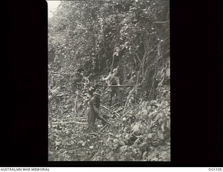 AITAPE, NORTH EAST NEW GUINEA. C. 1944-06. LEADING AIRCRAFTMAN (LAC) C. F. LARSEN, MT JUKES, AND LAC J. L. SIMPSON, GEELONG, VIC, CLEAR JUNGLE FROM A CORAL FACE TO BE USED AS A QUARRY