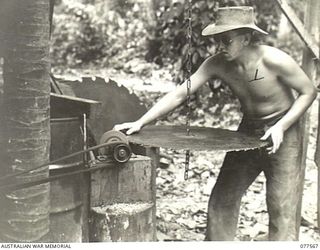 NX177218 LANCE-CORPORAL S.R. CROSS, SAWYEER, NO. 5 PLATOON (PIONEERS), HEADQUARTERS COMPANY, 27TH INFANTRY BATTALION SHARPENING A CIRCULAR SAW AT THE UNIT SAWMILL