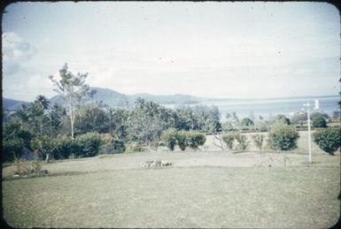 On Esa'ala Station : Normanby Island, D'Entrecasteaux Islands, Papua New Guinea, 1956-1959 / Terence and Margaret Spencer