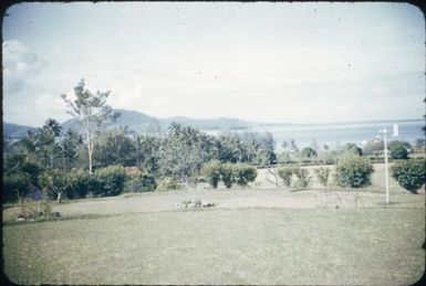 On Esa'ala Station : Normanby Island, D'Entrecasteaux Islands, Papua New Guinea, 1956-1959 / Terence and Margaret Spencer
