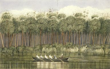 Heaphy, Charles 1820-1881 :Cowdie forest on the Wairoa River, Kaipara (Col. Wakefield proceeding to the Bay of Islands) / Chas Heaphy 1840.