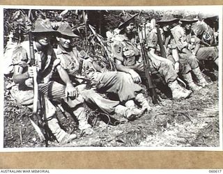 SATTELBERG AREA, NEW GUINEA. 1943-11-17. TROOPS OF THE 2/48TH. AUSTRALIAN INFANTRY BATTALION RESTING ON THE SIDE OF THE ROAD BEFORE DIGGING INTO THEIR NEWLY GAINED POSITIONS DURING THE ASSAULT ON ..