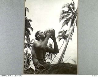 1942-12-14. PAPUA - GONA. PRIVATE A.H. SNADDON (NSW) HAS A WELCOME DRINK OF COCONUT MILK. (NEGATIVE BY G. SILK)