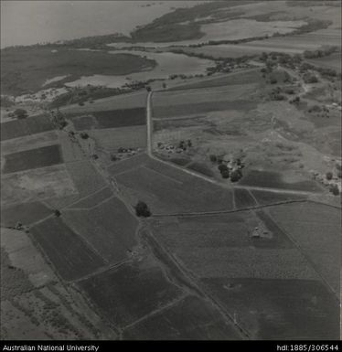 Aerial views of fields and crops